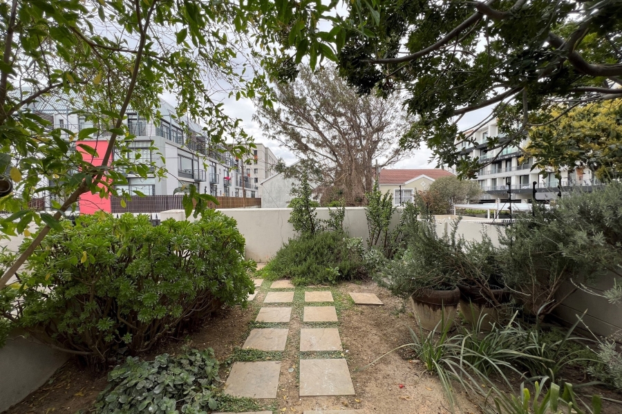 To Let 3 Bedroom Property for Rent in Observatory Western Cape